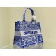 Dior Medium Book Tote Bag In Blue Transparent Toile de Jouy Canvas