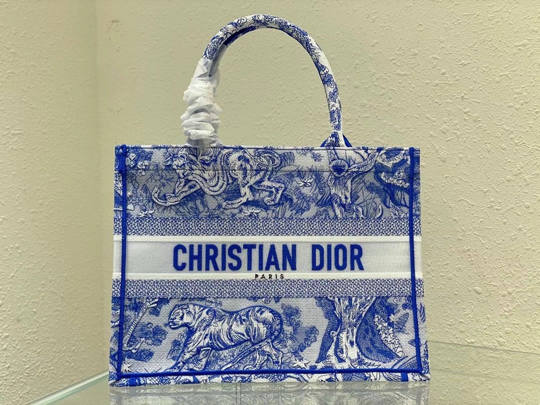 Dior Medium Book Tote Bag In Blue Transparent Toile de Jouy Canvas