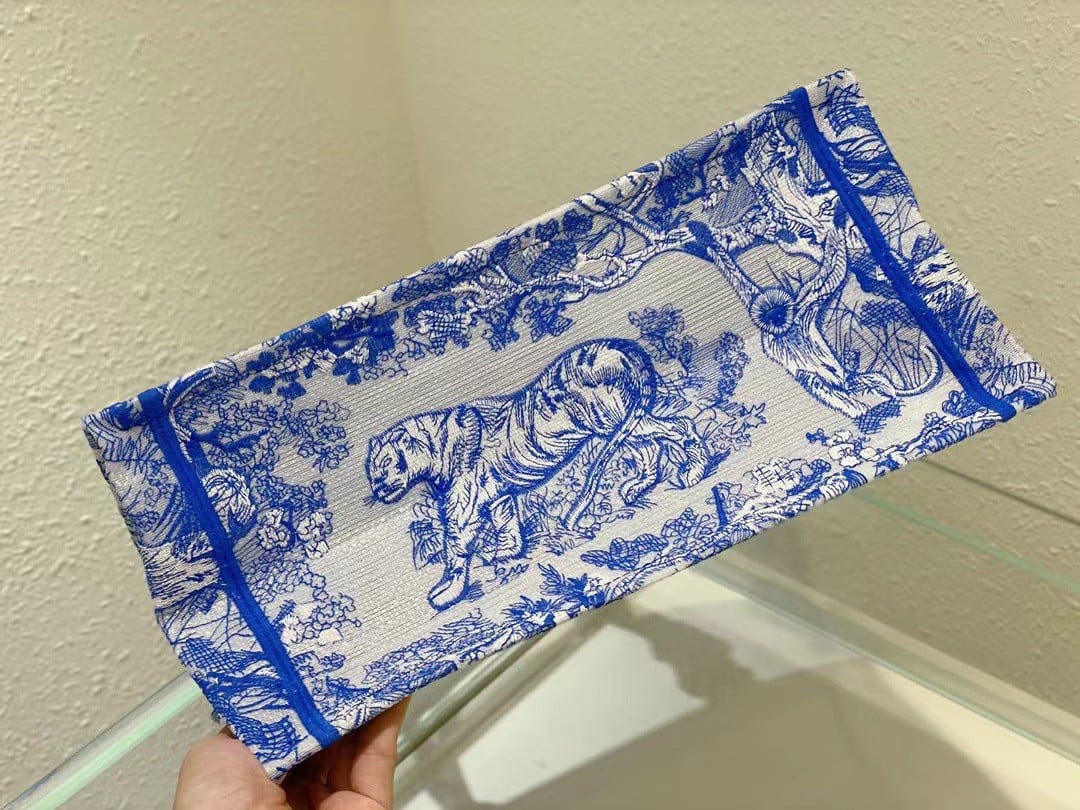 Dior Medium Book Tote Bag In Blue Transparent Toile de Jouy Canvas