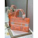 Dior Medium Book Tote Bag In Orange Transparent Toile de Jouy Canvas