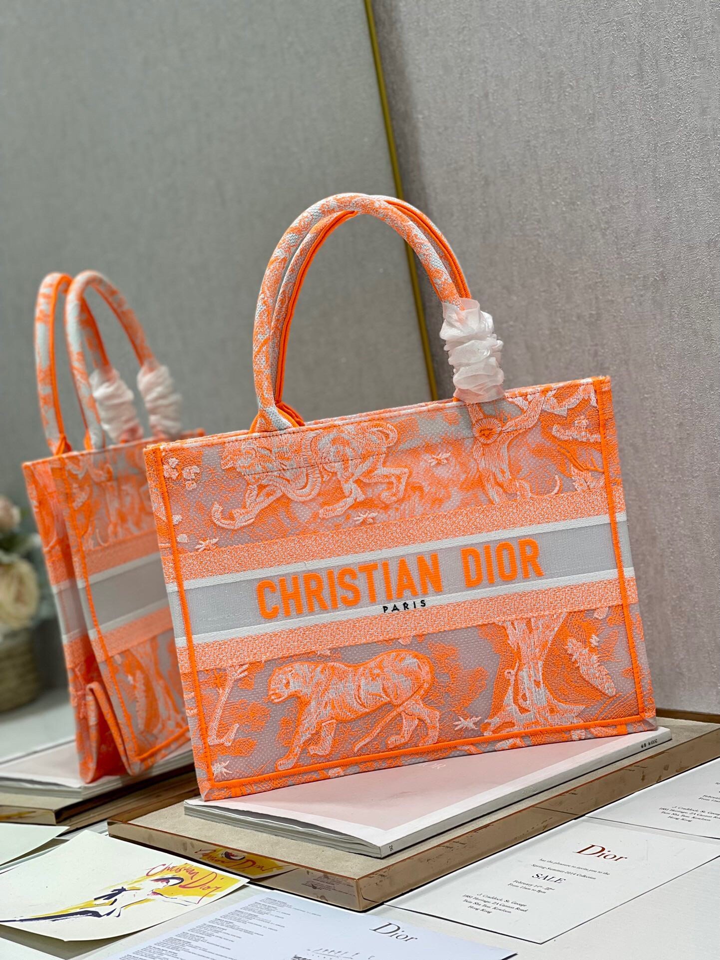 Dior Medium Book Tote Bag In Orange Transparent Toile de Jouy Canvas