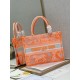 Dior Medium Book Tote Bag In Orange Transparent Toile de Jouy Canvas