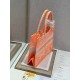 Dior Medium Book Tote Bag In Orange Transparent Toile de Jouy Canvas