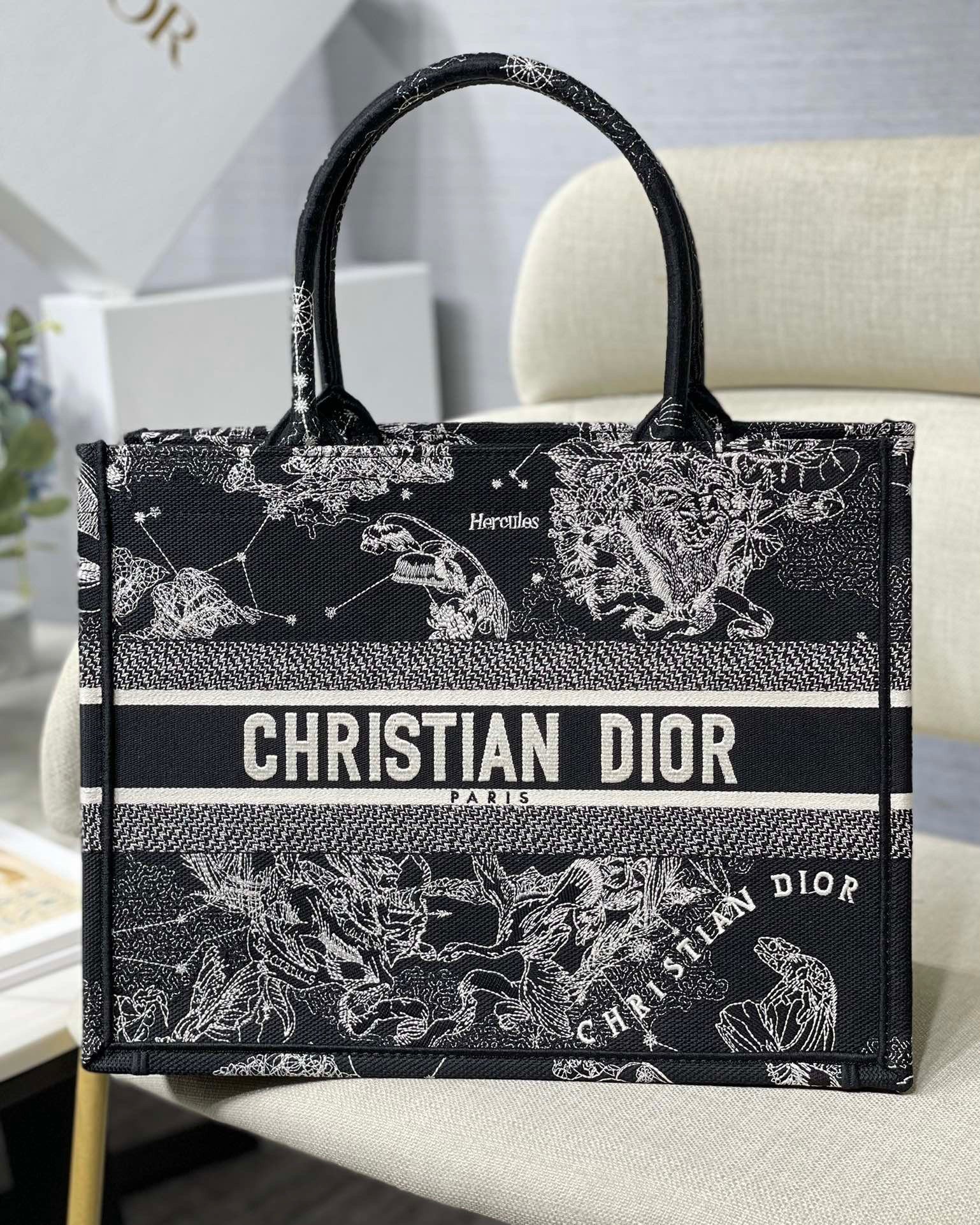 Dior Medium Book Tote Bag In Black Toile de Jouy Zodiac Embroidery