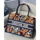 Dior Medium Book Tote Bag In Blue Multicolor Dior Paisley Embroidery