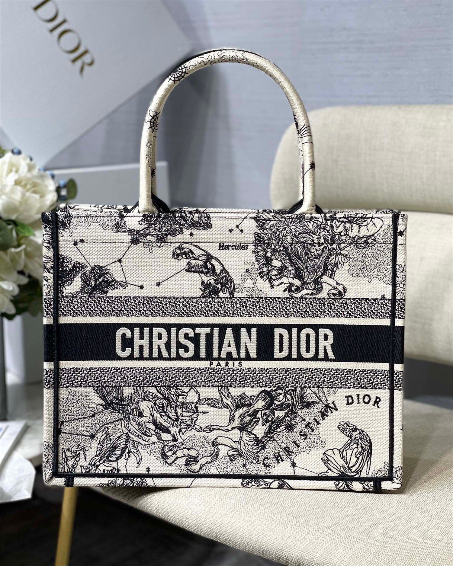 Dior Medium Book Tote Bag In White Toile de Jouy Zodiac Embroidery