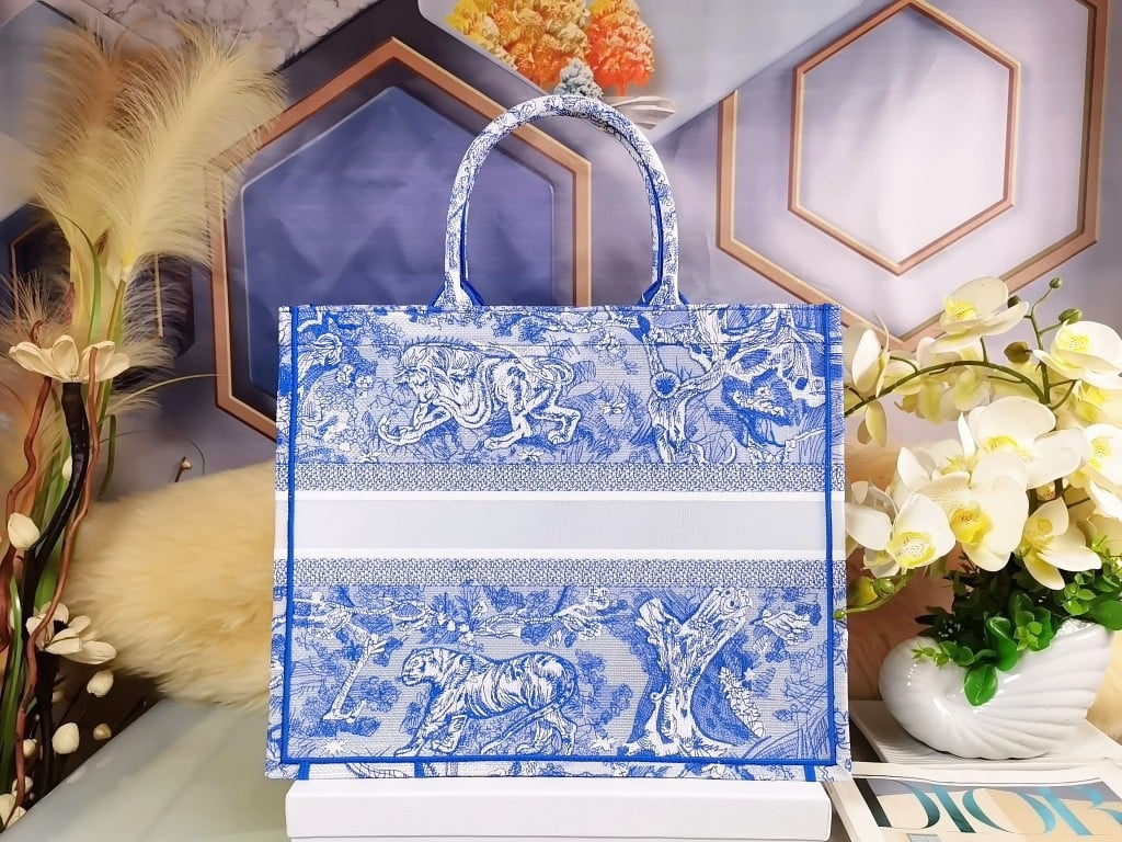 Dior Large Book Tote Bag In Blue Transparent Toile de Jouy Canvas