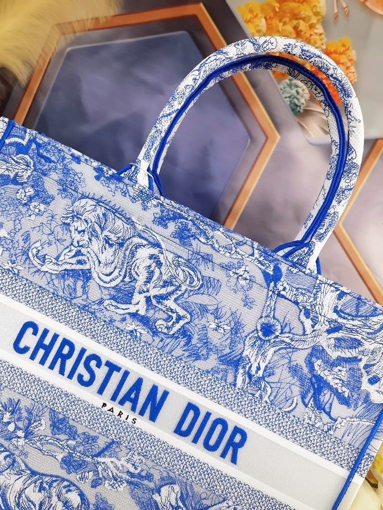 Dior Large Book Tote Bag In Blue Transparent Toile de Jouy Canvas