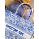 Dior Large Book Tote Bag In Blue Transparent Toile de Jouy Canvas