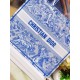 Dior Large Book Tote Bag In Blue Transparent Toile de Jouy Canvas