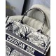 Dior Medium Dior Book Tote Bag In Blue Toile de Jouy Palms Embroidery