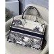 Dior Medium Dior Book Tote Bag In Blue Toile de Jouy Palms Embroidery